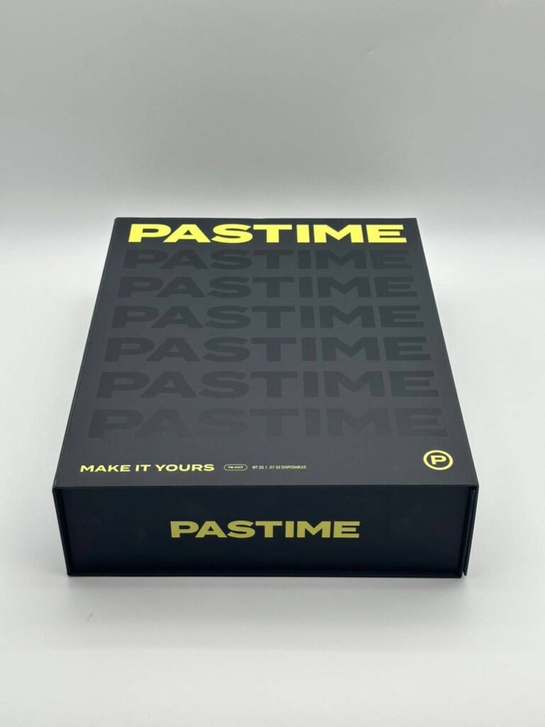 Pastime 2g Disposable Vape Device – Premium Portable Vape