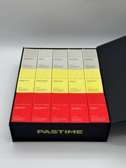 Pastime 2g Disposable Vape Device – Premium Portable Vape