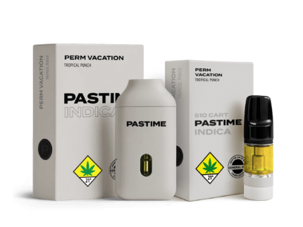 Pastime Perm Vacation Tropical Punch Vape Kit – Indica 510 Cart